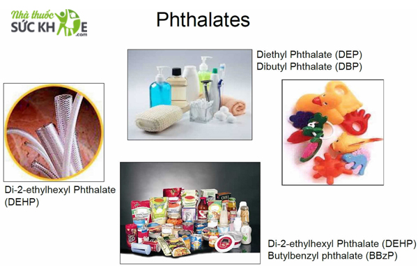 Thành phần Phthalates