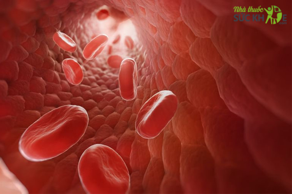 Sắt giúp cho các tế bào hồng cầu luôn khỏe mạnh