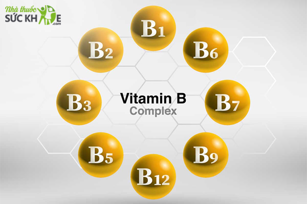 Bổ sung Vitamin nhóm B
